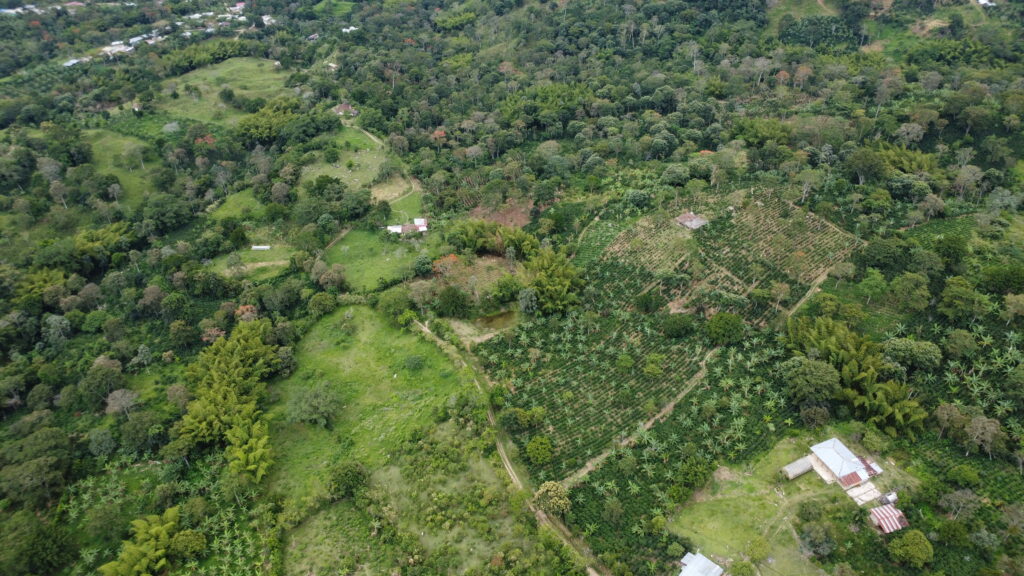 Carlos Arturo Lozano