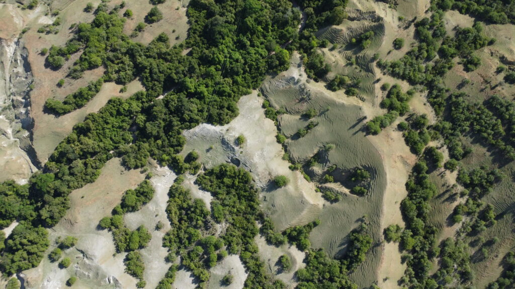 Jesús Marino Vargas