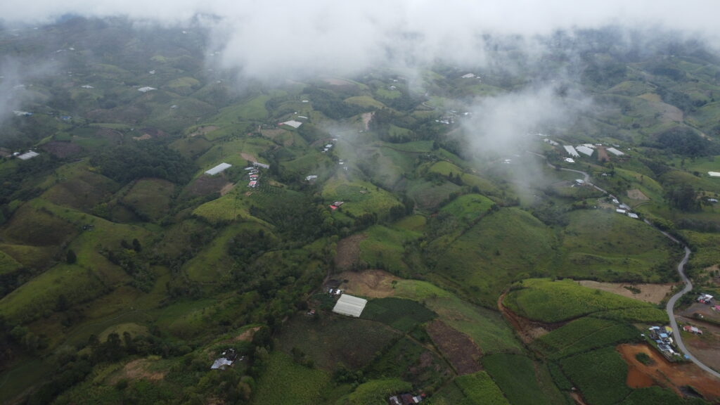 Yenny Lorena Caicedo